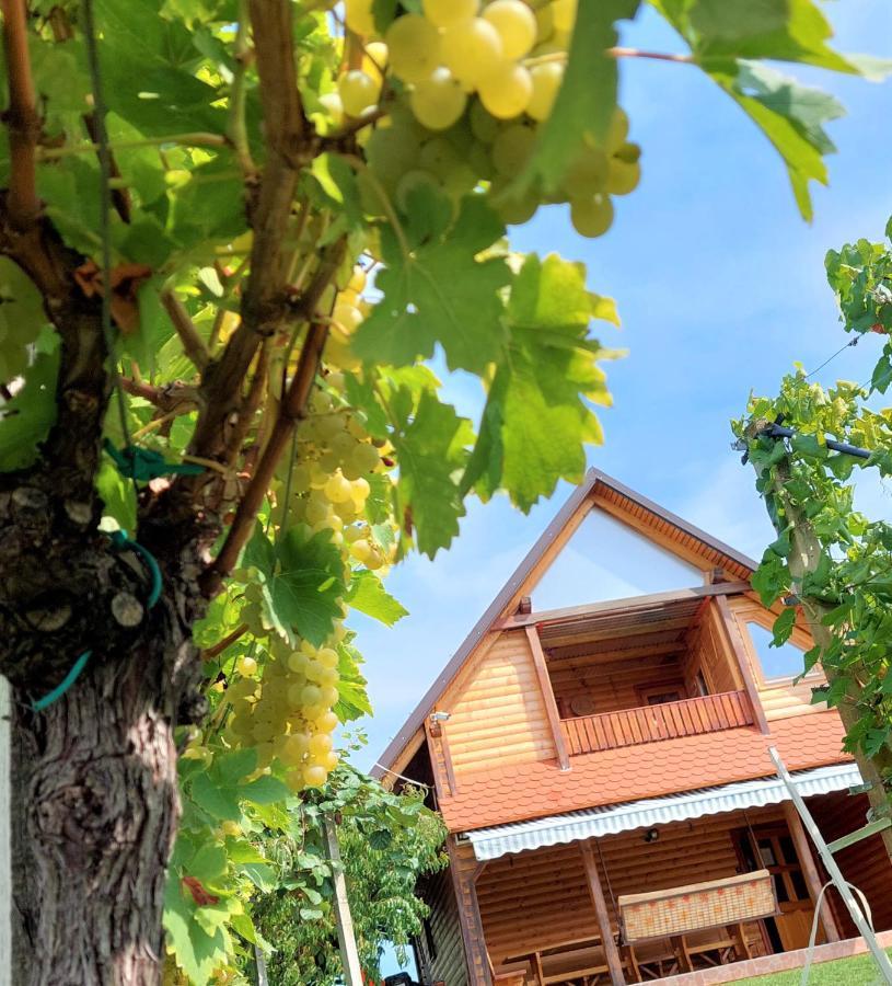 Apartma-Spa Natura Sveti Jurij ob Scavnici المظهر الخارجي الصورة